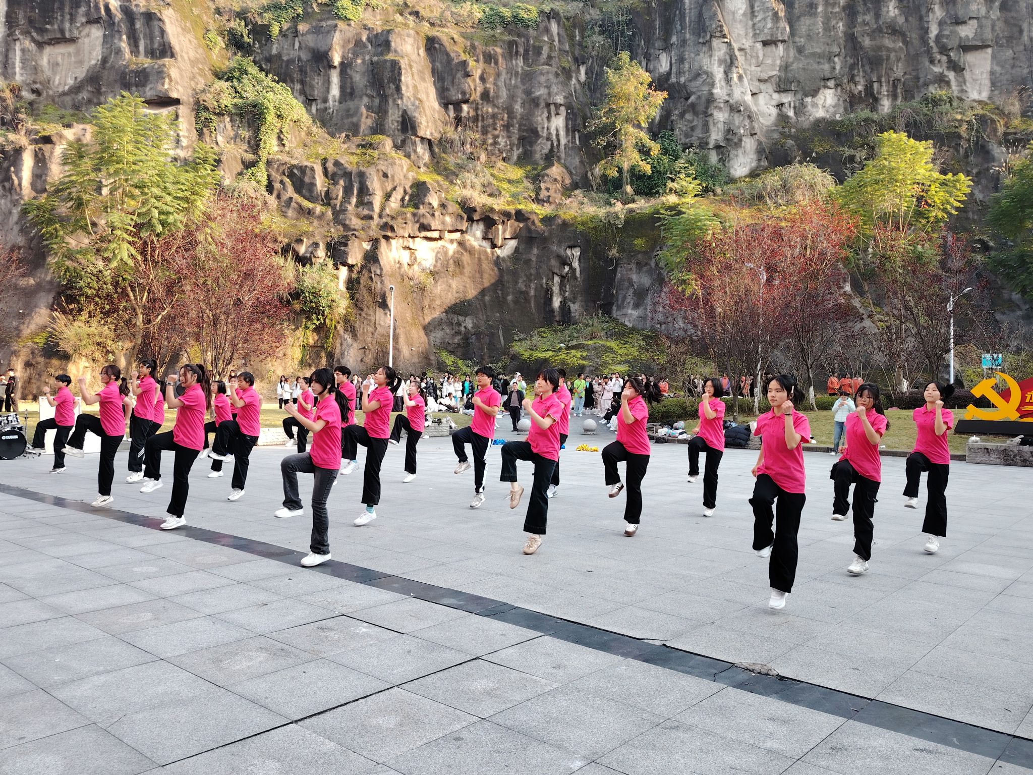 44118太阳成tyc城集团