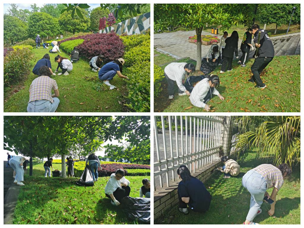 44118太阳成tyc城集团