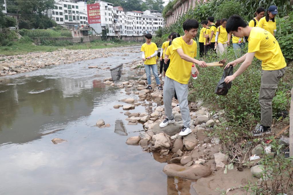 44118太阳成tyc城集团