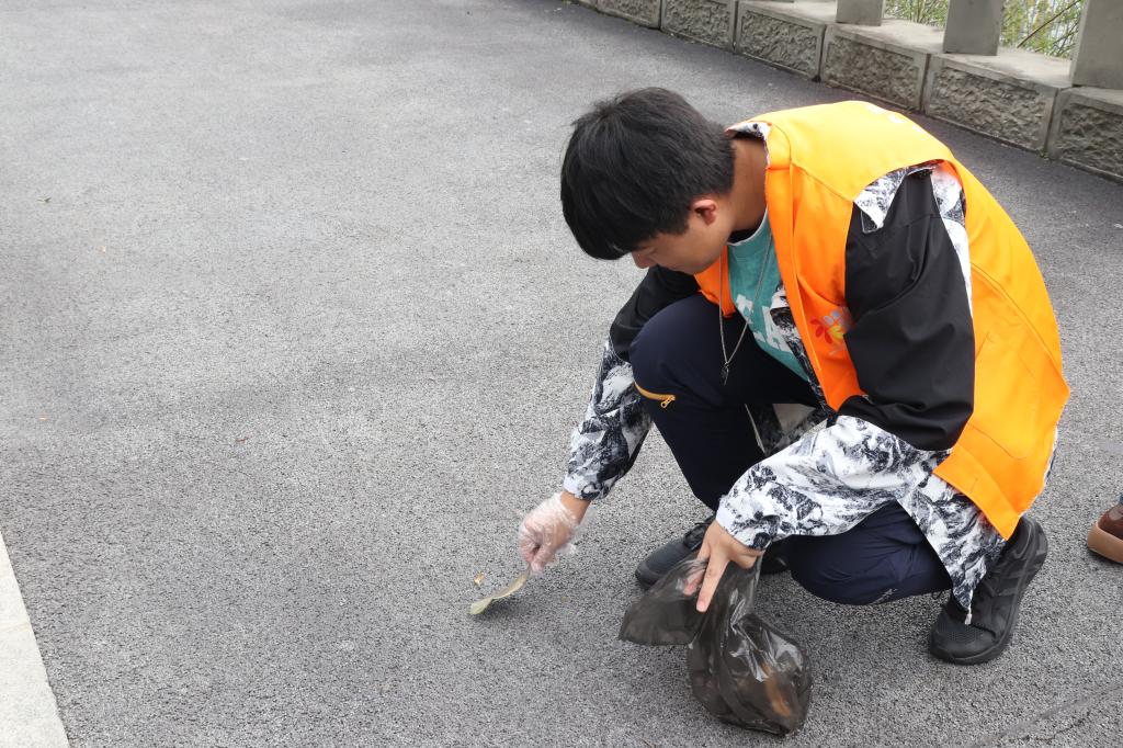 44118太阳成tyc城集团