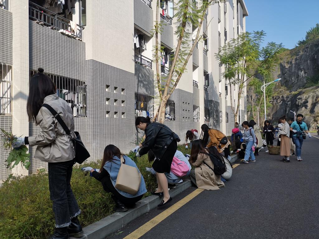 44118太阳成tyc城集团