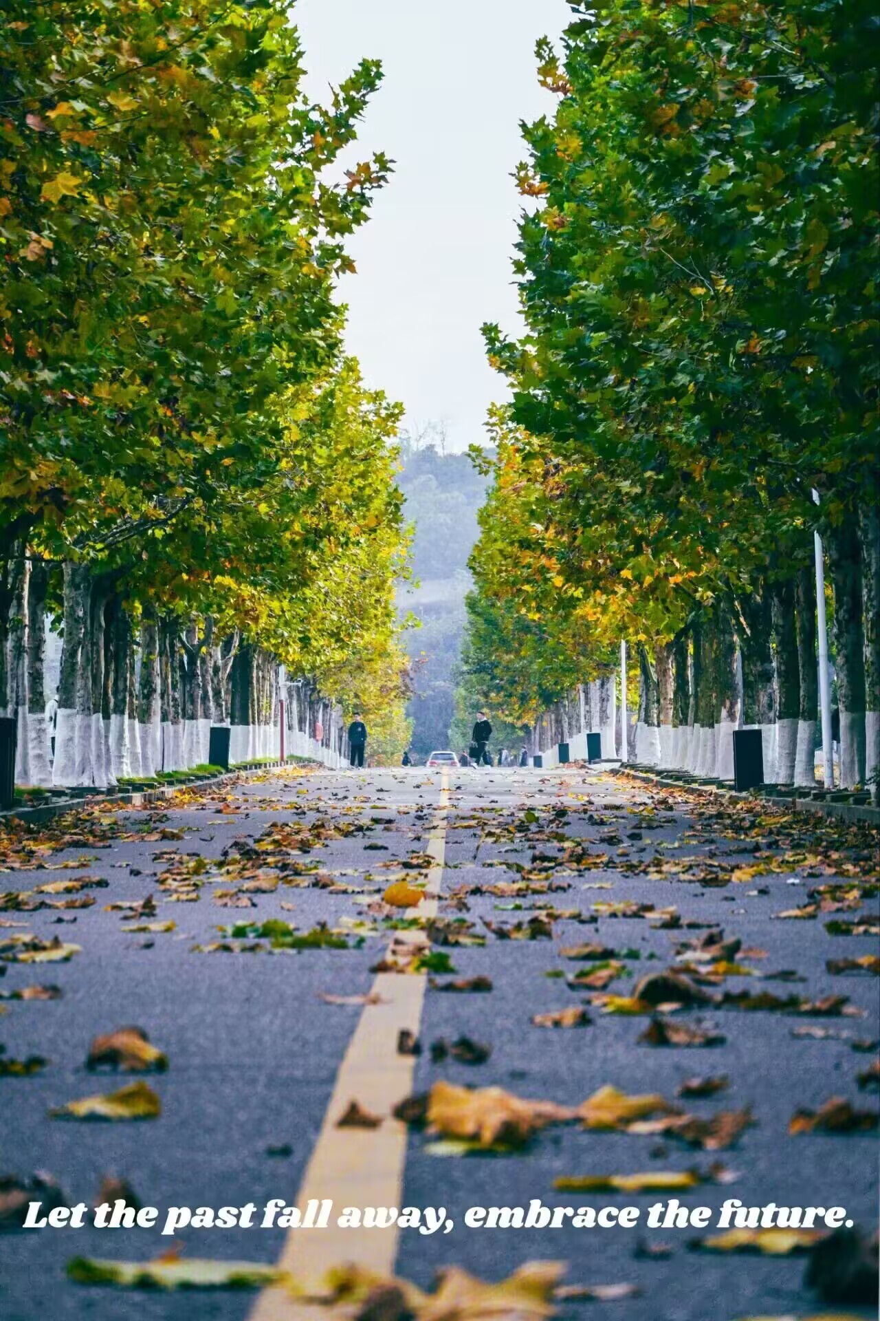 44118太阳成tyc城集团