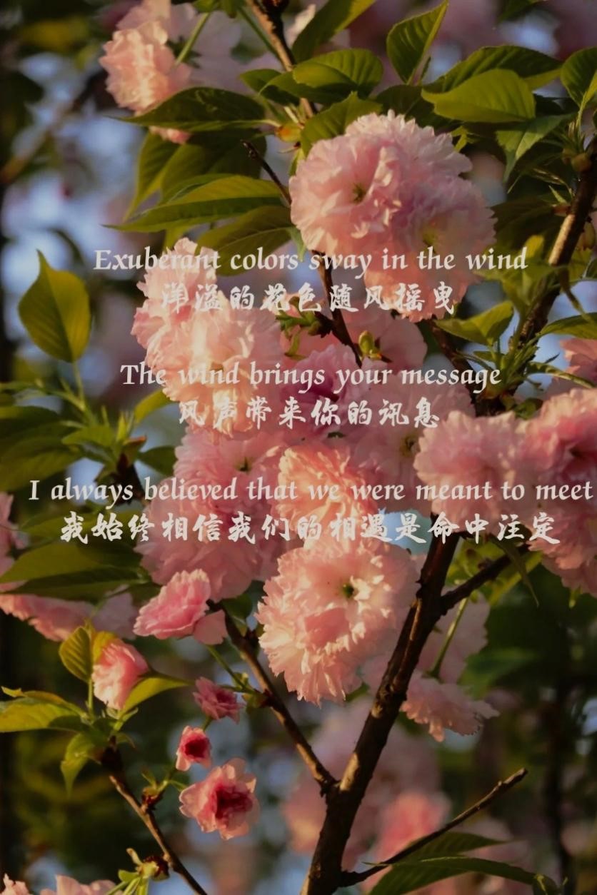 44118太阳成tyc城集团