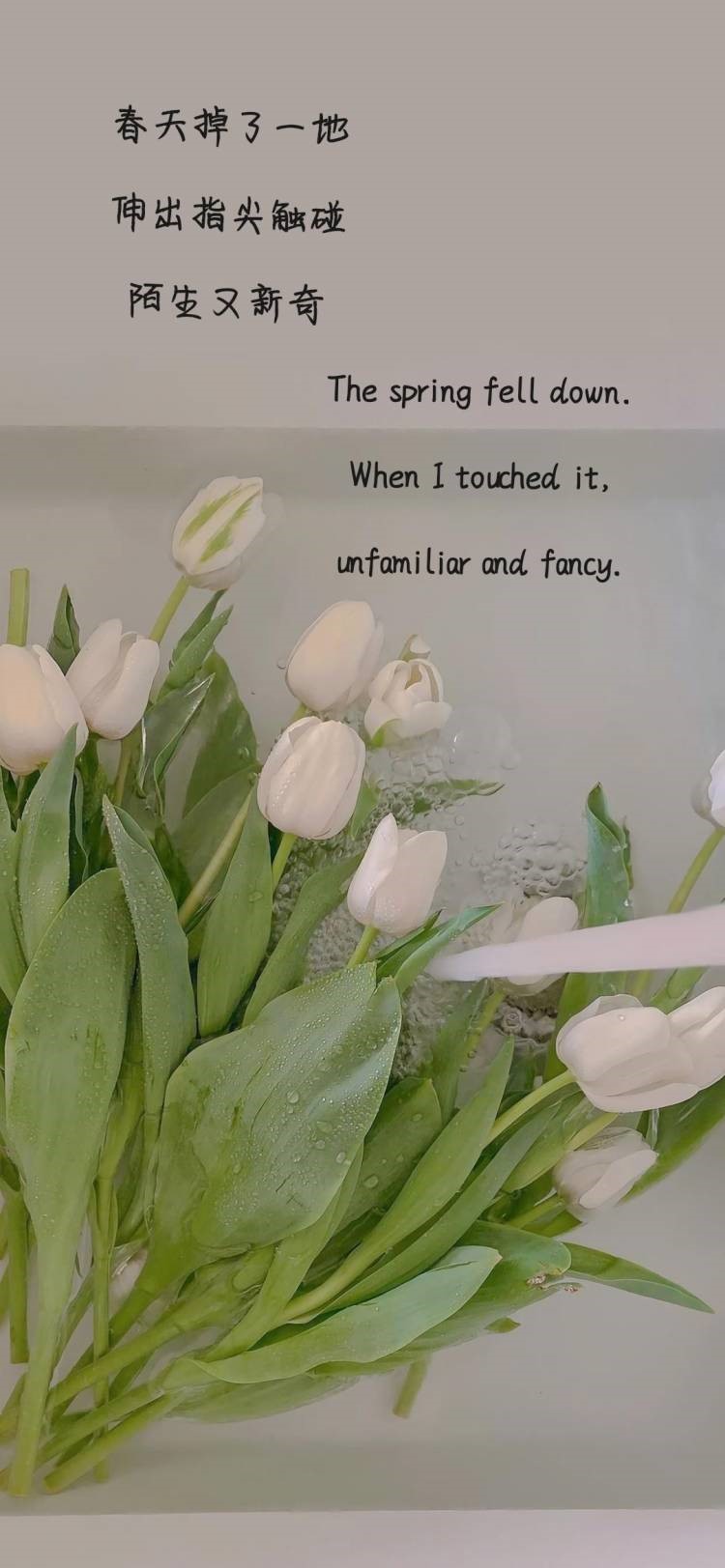 44118太阳成tyc城集团