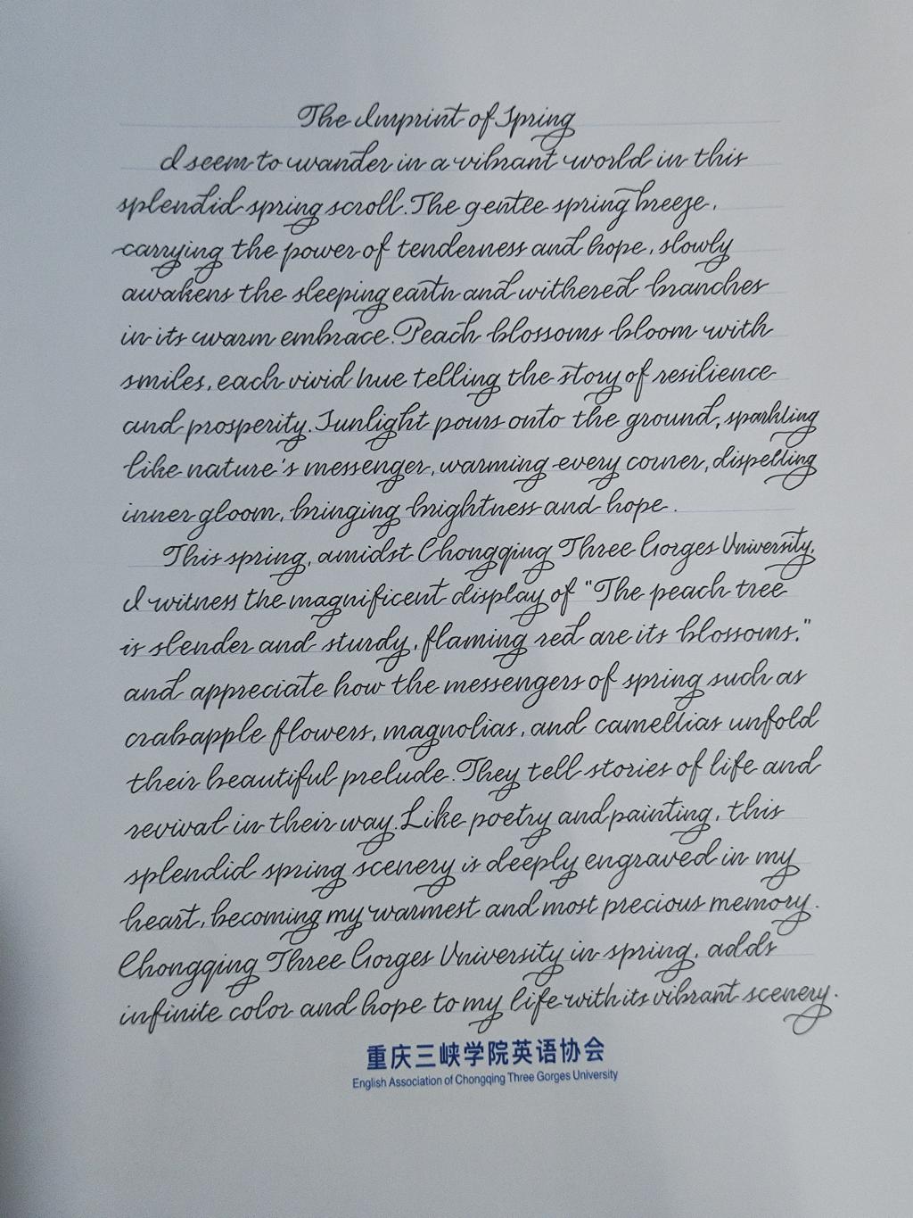 44118太阳成tyc城集团