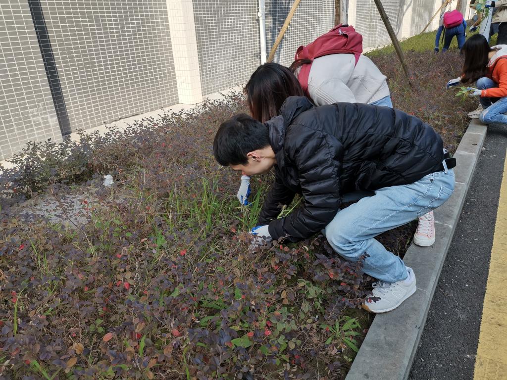 44118太阳成tyc城集团