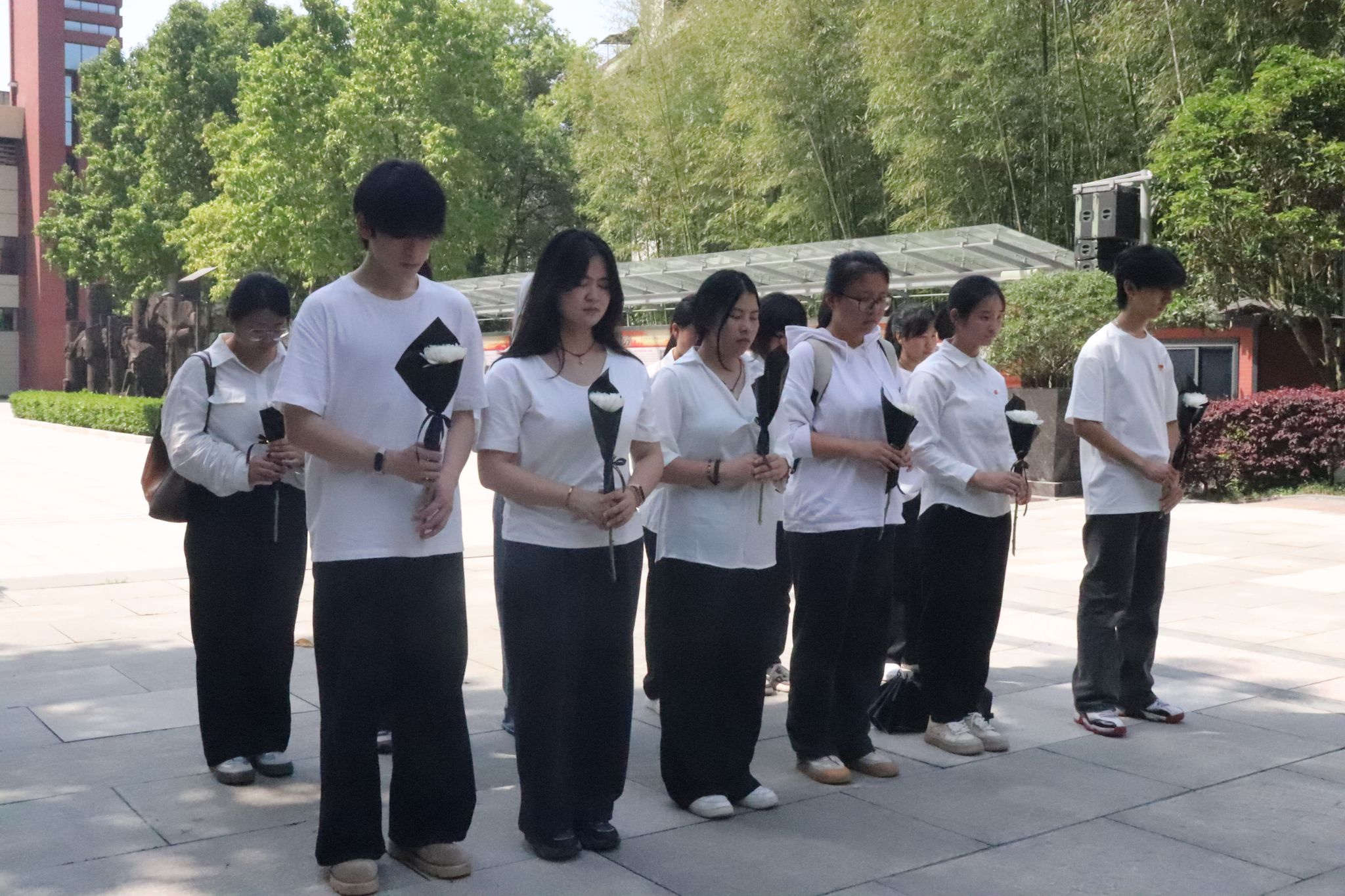 44118太阳成tyc城集团