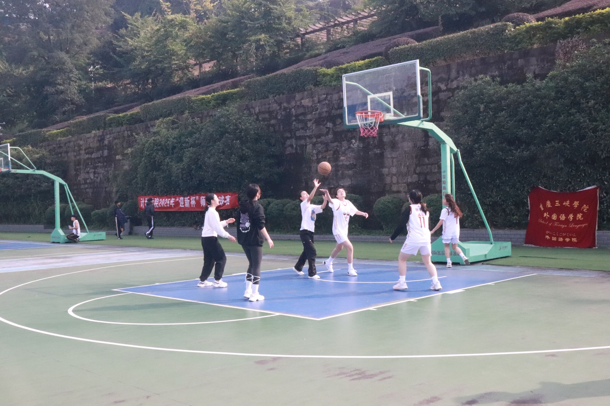 44118太阳成tyc城集团