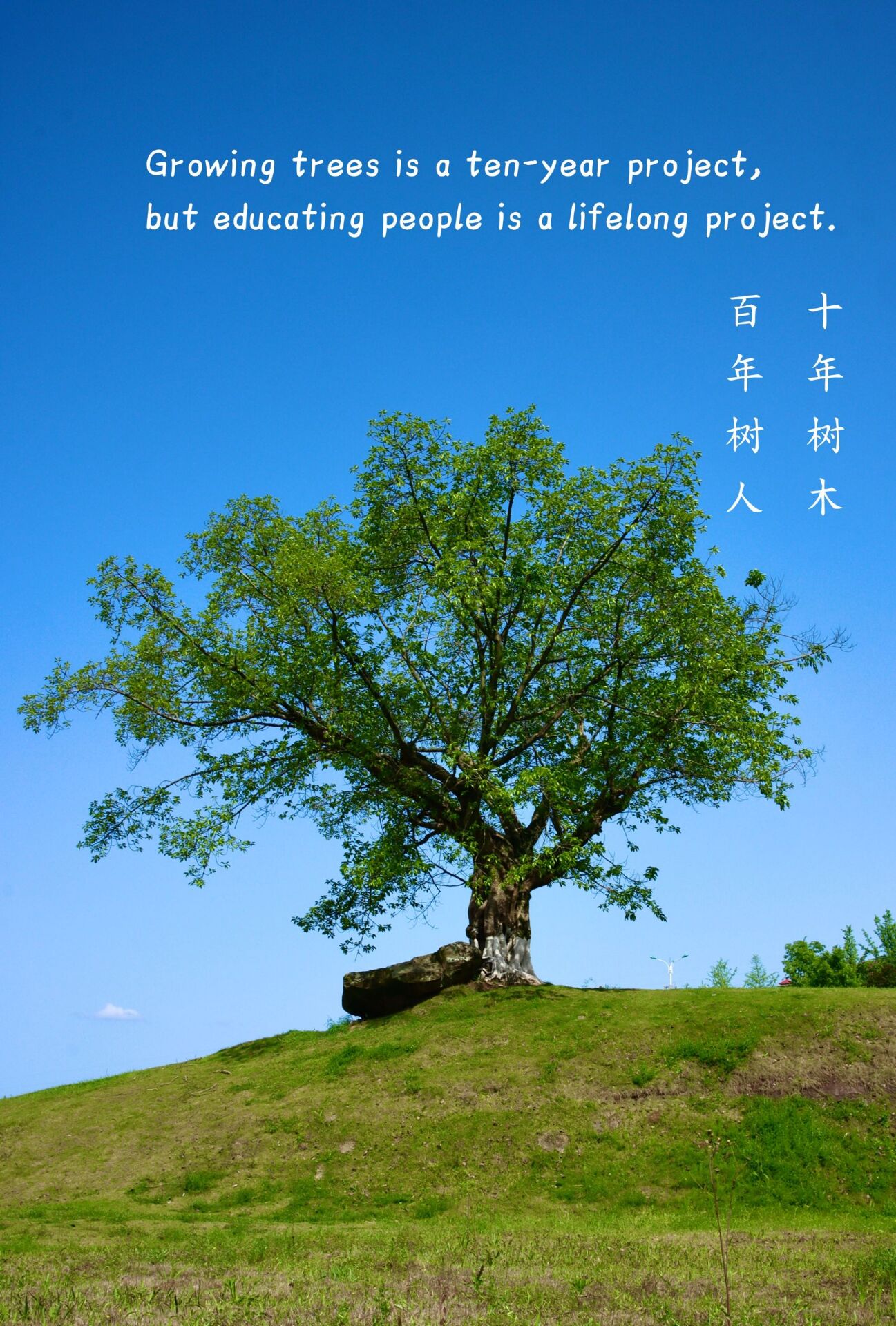 44118太阳成tyc城集团