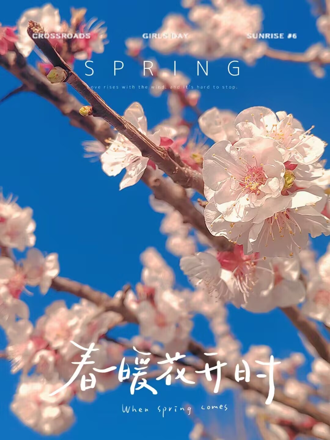 44118太阳成tyc城集团