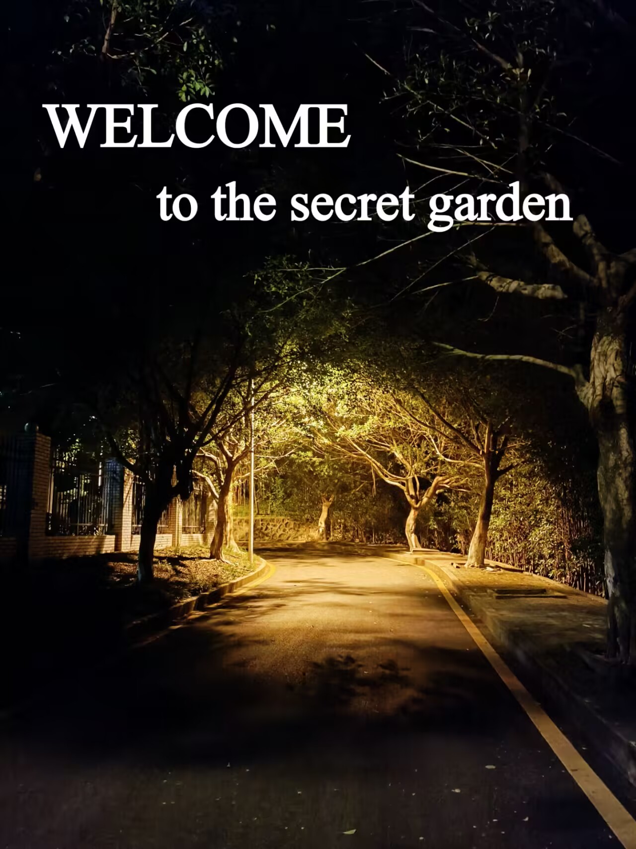 44118太阳成tyc城集团