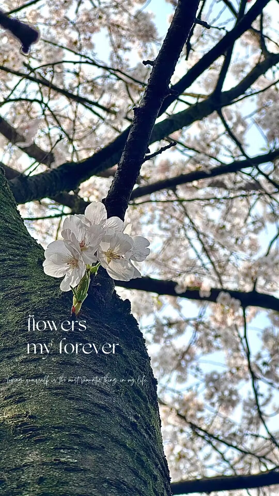 44118太阳成tyc城集团