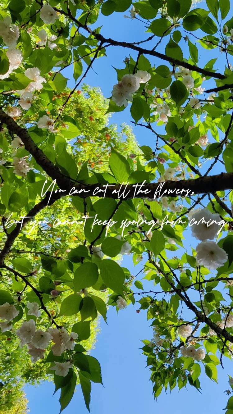 44118太阳成tyc城集团