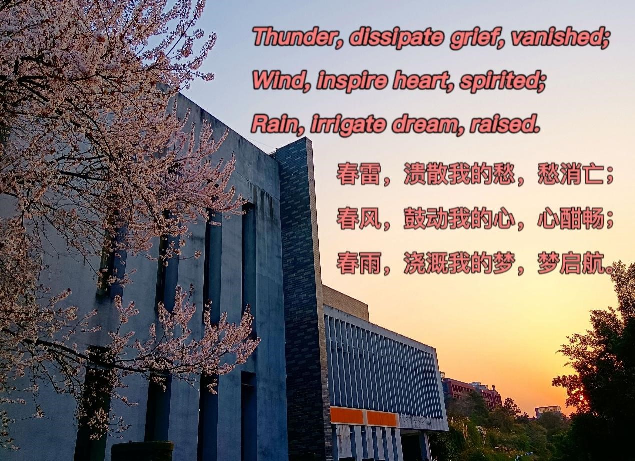 44118太阳成tyc城集团