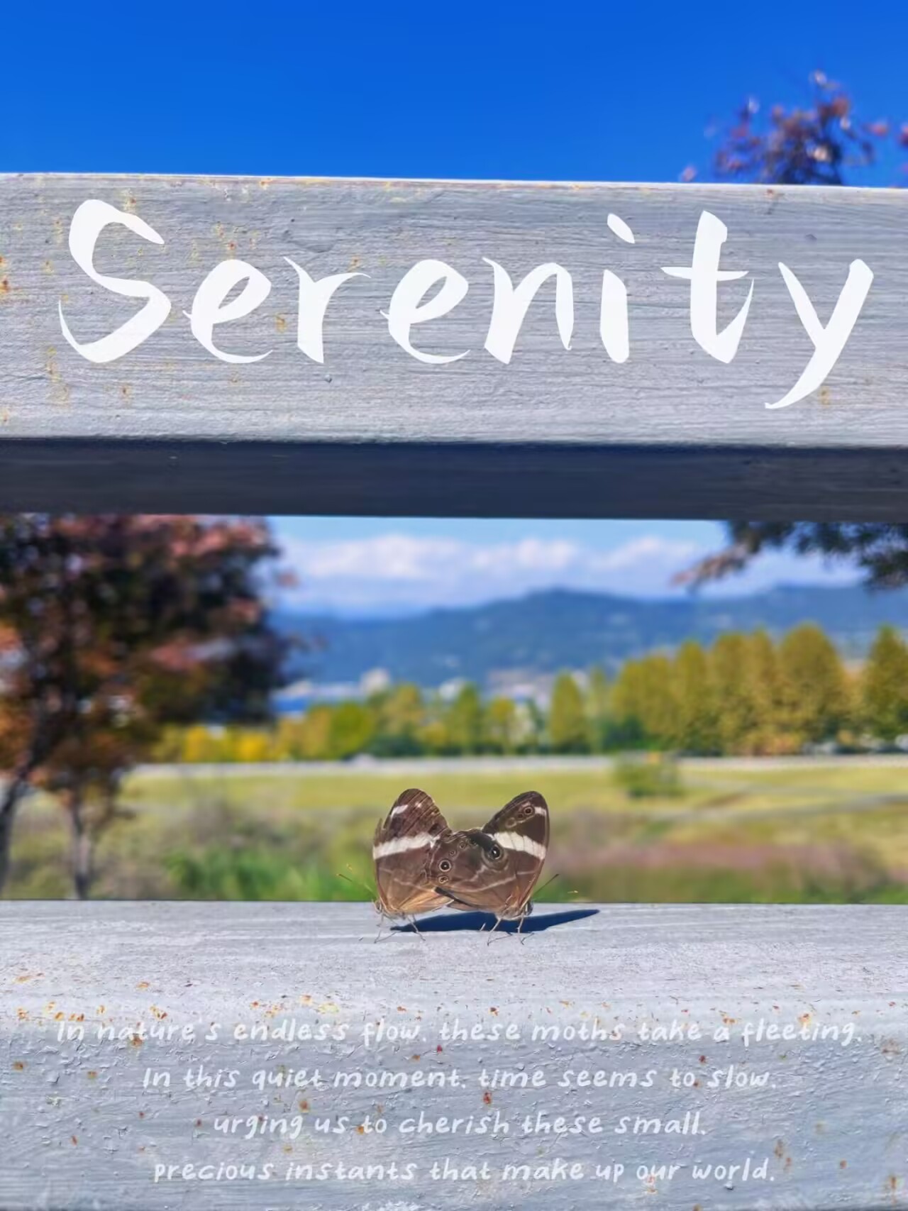 44118太阳成tyc城集团