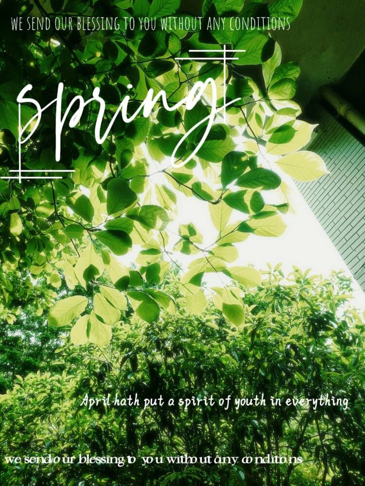 44118太阳成tyc城集团