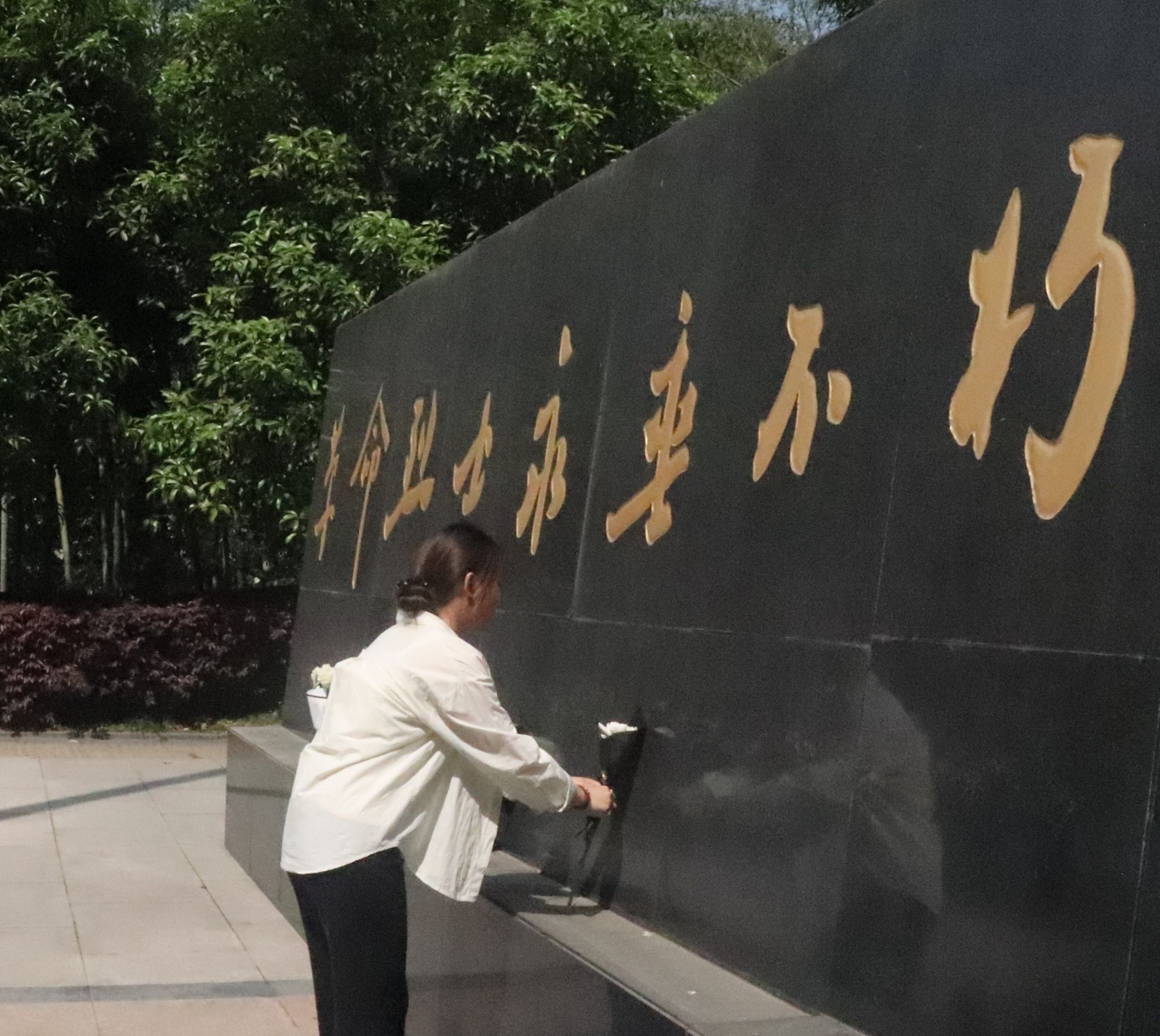 44118太阳成tyc城集团