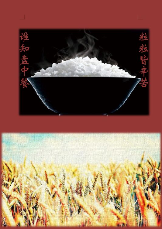 44118太阳成tyc城集团