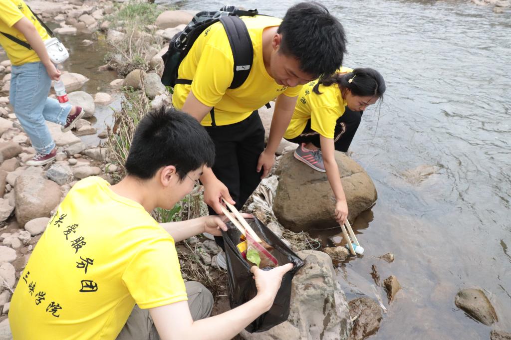 44118太阳成tyc城集团