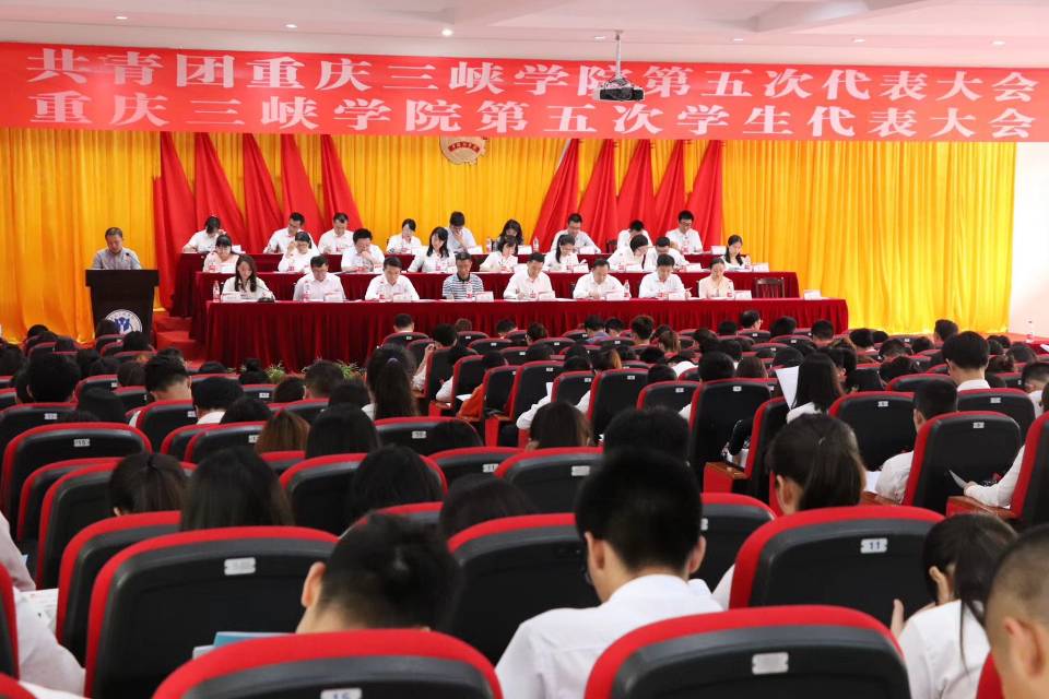 44118太阳成tyc城集团