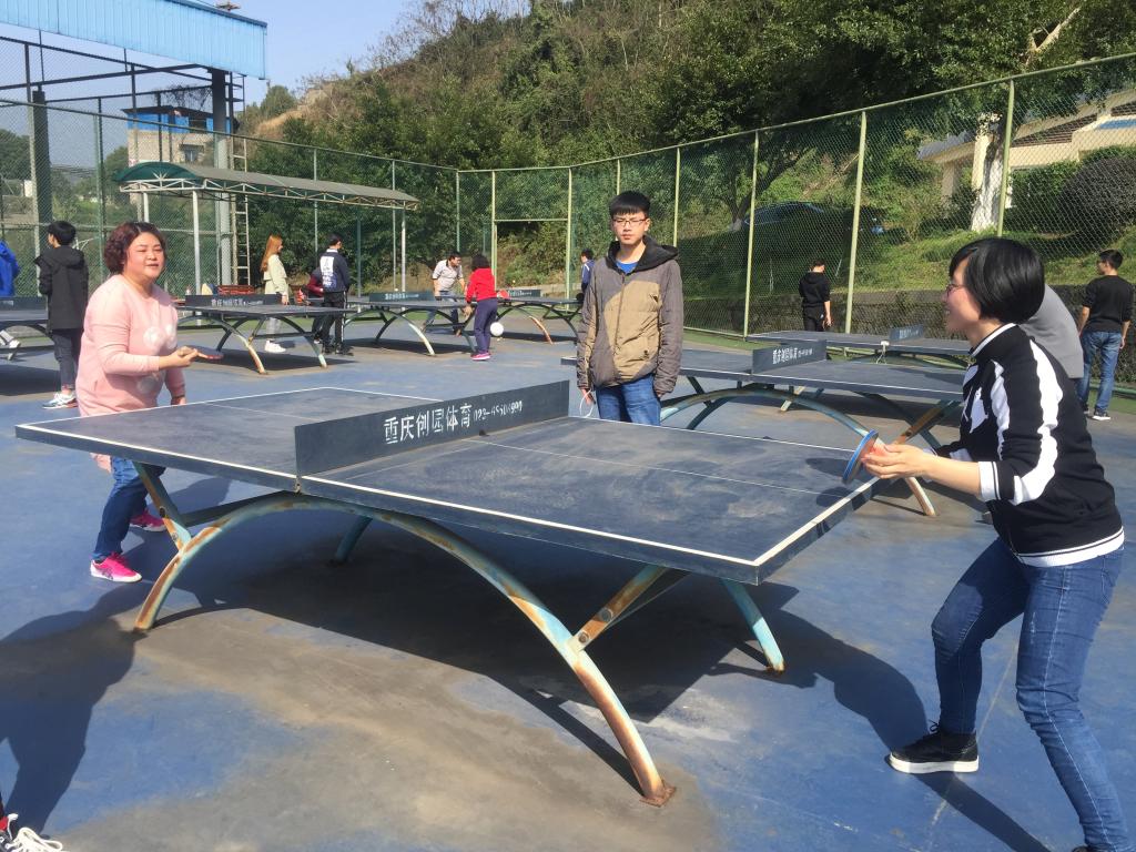 44118太阳成tyc城集团