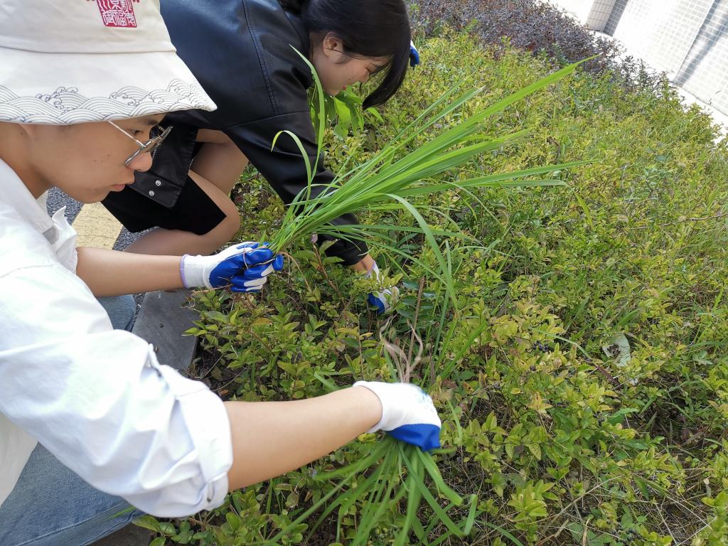 44118太阳成tyc城集团