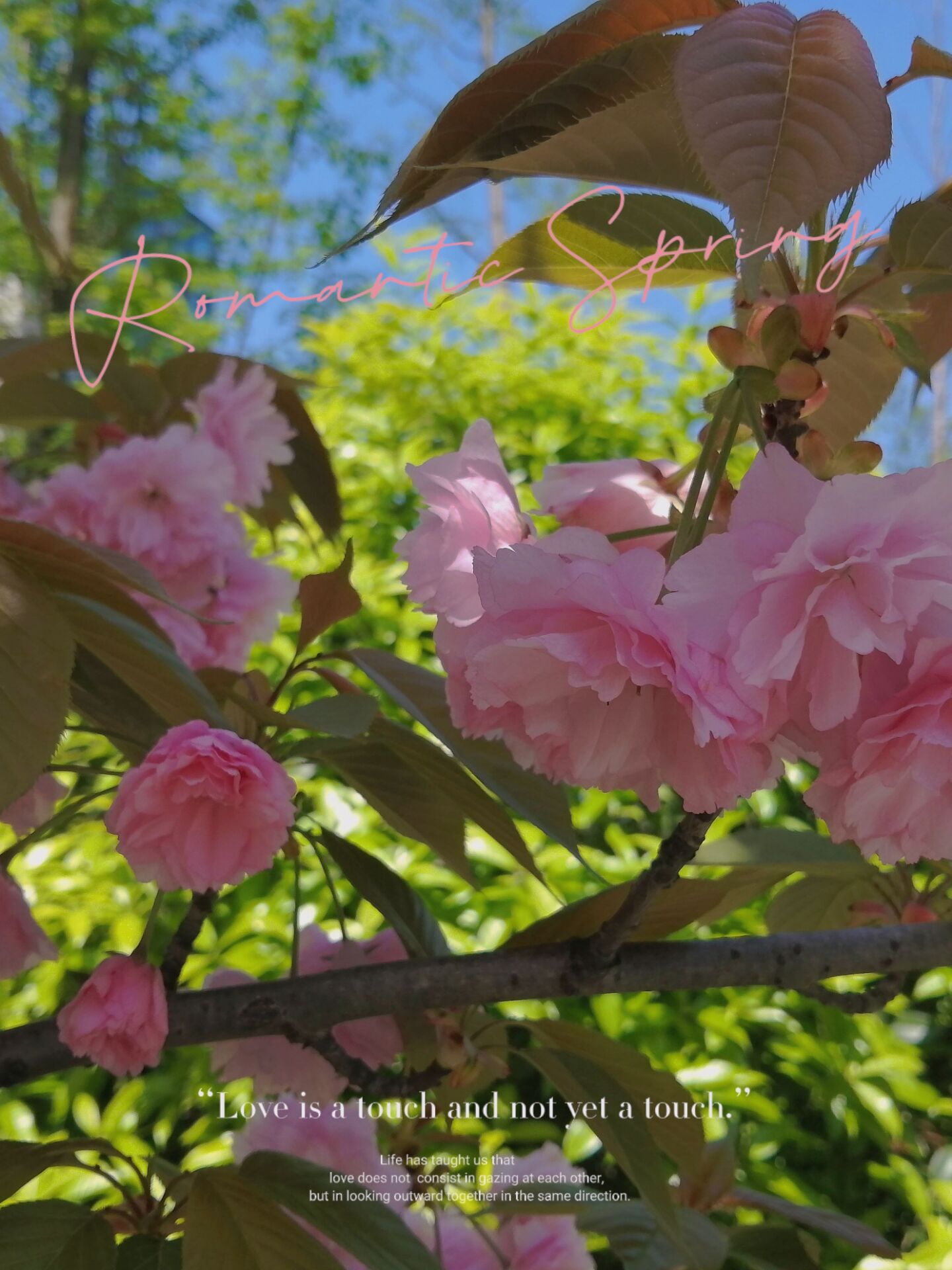 44118太阳成tyc城集团