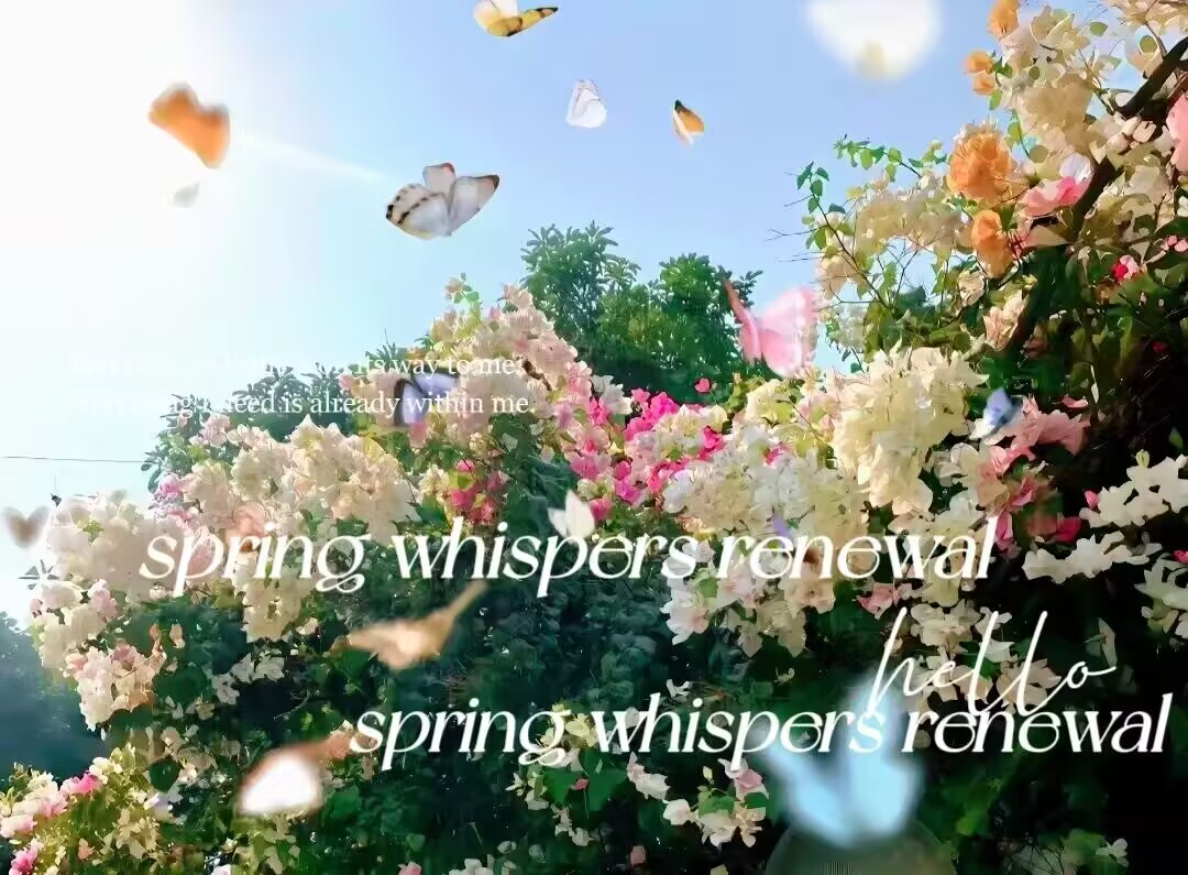 44118太阳成tyc城集团