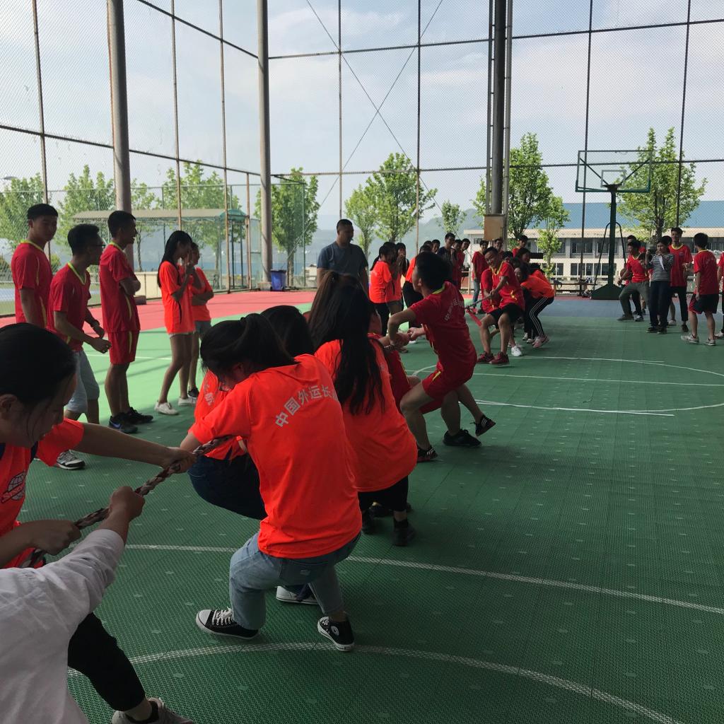 44118太阳成tyc城集团