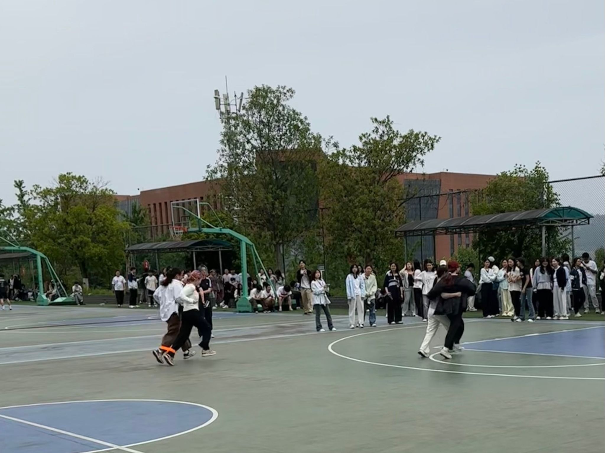 44118太阳成tyc城集团