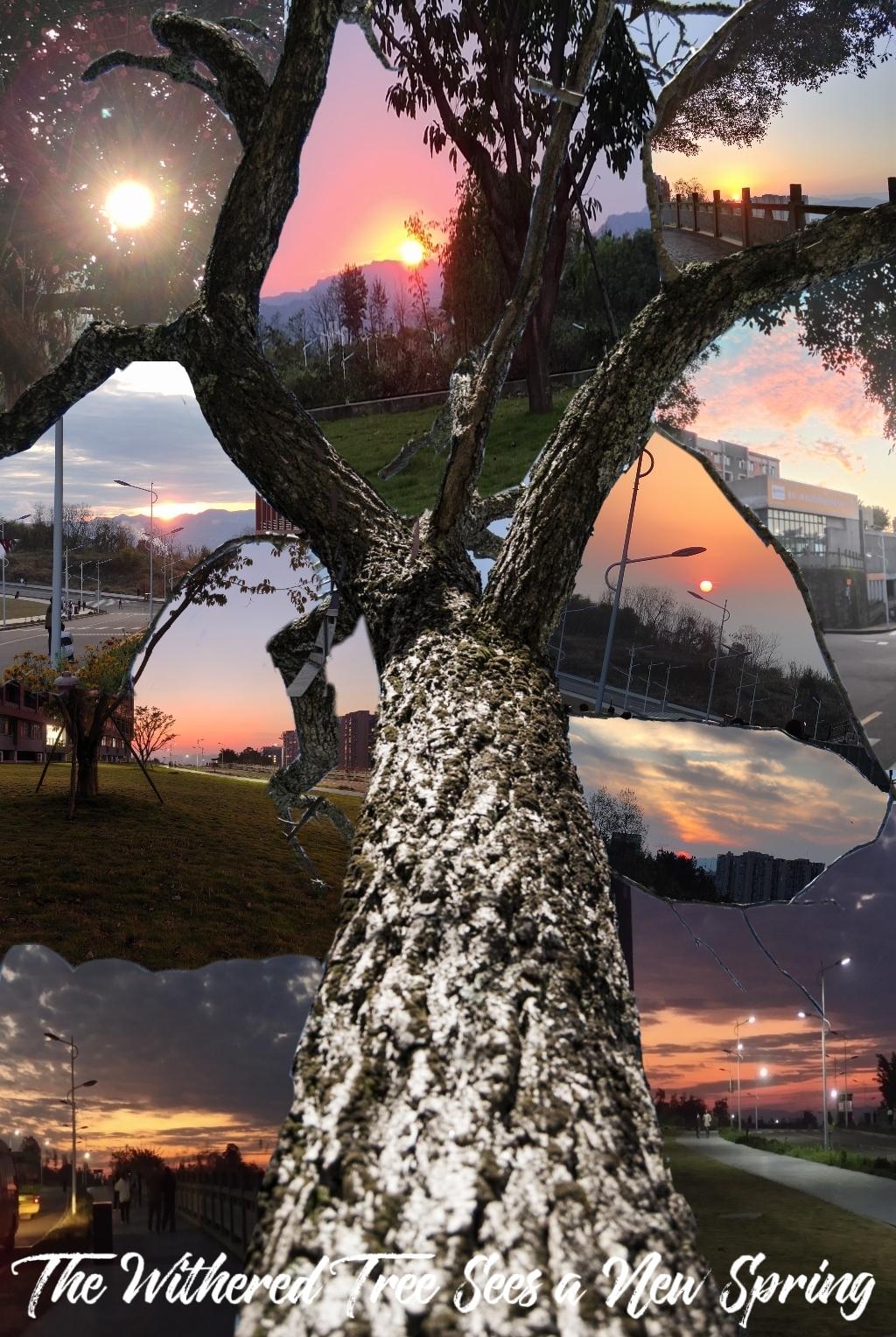 44118太阳成tyc城集团